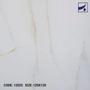 کاشی 12025