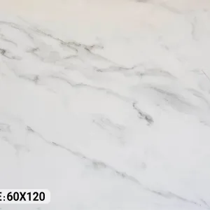 کاشی 60124
